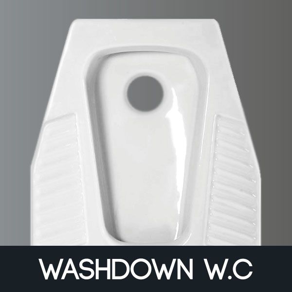 washdown wc
